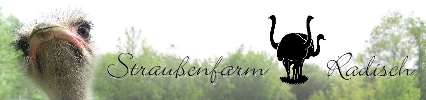 header-photo